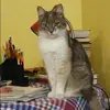 Отзыв от Инесса Мальцева